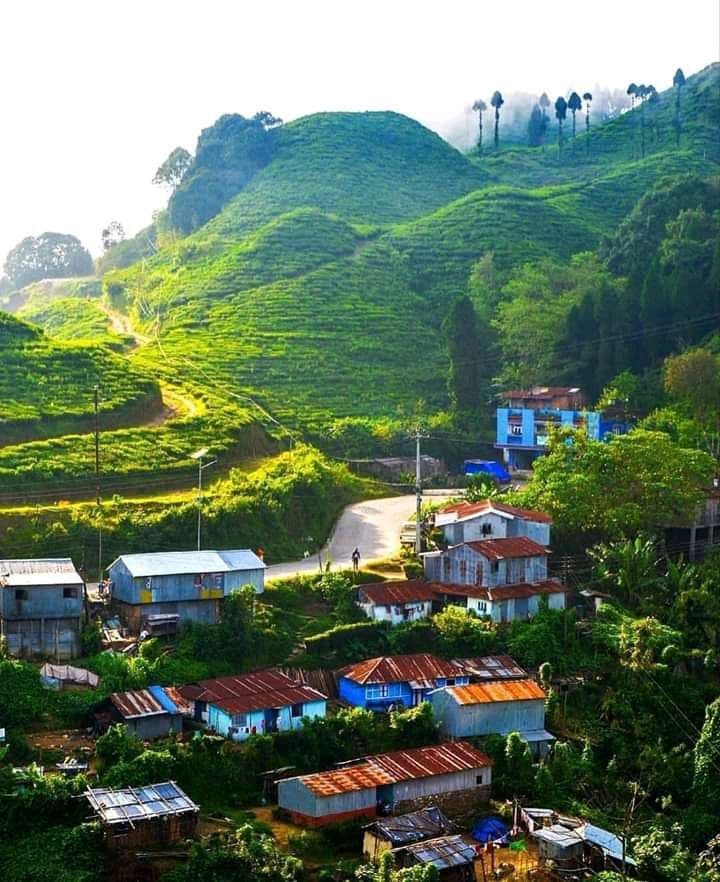 Property search results in Ilam